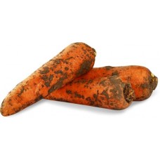 Морковь Эконом, весовая