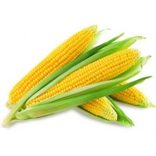Кукуруза свежая, 1шт
