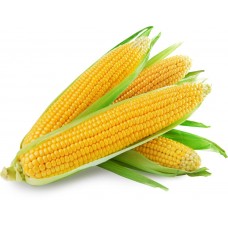 Кукуруза вареная в/у,  450 г