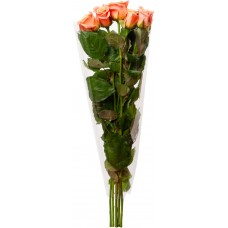 Купить Монобукет Розы 60см,  5 шт в Ленте