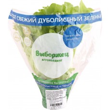 Салат дуболистный зеленый,  1 шт