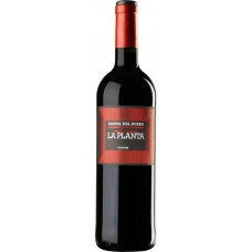 Вино ARZUAGA NAVARRO LA PLANTA Рибера дель Дуэро DO красное сухое, 0.75л, Испания, 0.75 L