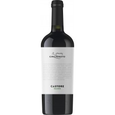 Купить Вино CINCINNATO Bellone Castore Лацио белое сухое, 0.75л, Италия, 0.75 L в Ленте