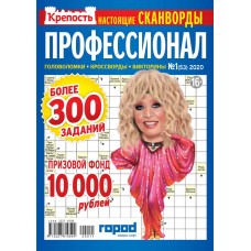 Журнал Крепость. Профессионал, Россия